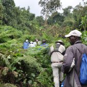  Hiking Through the Jungle (Rwanda)